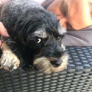 Meet your Posher, Colleen